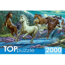 TOPpuzzle. ПАЗЛЫ 2000 элементов. ХТП2000-1594 Ночной табун лошадей