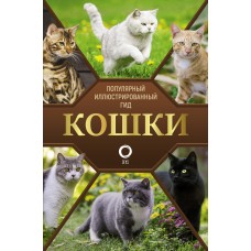 Кошки