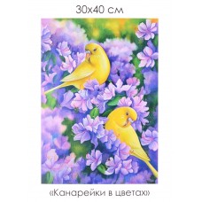 Алмазные узоры. Канарейки в цветах. 30*40см арт.07279