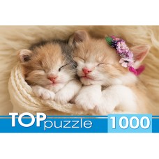TOPpuzzle. ПАЗЛЫ 1000 элементов. ГИТП1000-2142 Два спящих котенка