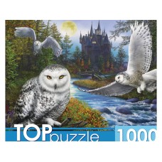 TOPpuzzle. ПАЗЛЫ 1000 элементов. Ф1000-9941 Магическая сова и замок