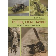 Пчёлы, осы, пауки и другие строители.