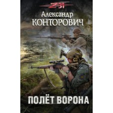 Полёт ворона