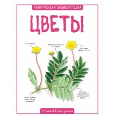 Цветы