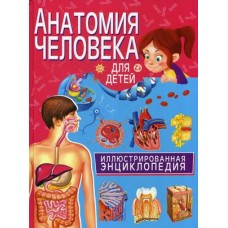 Анатомия человека для детей. Иллюстрированная энциклопедия(МЕЛОВКА)