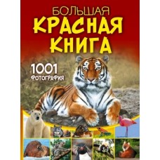 Большая красная книга. 1001 фотография