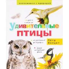 (Знакомимся с природой) Удивительные птицы.      (3+)