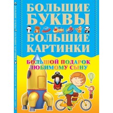 Большой подарок любимому сыну