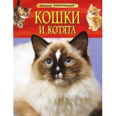 Кошки и котята. Детская энциклопедия