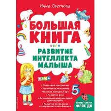 Большая книга. Развитие интеллекта малыша