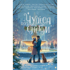 Чудеса под снегом. Рассказы о любви и волшебстве в большом городе