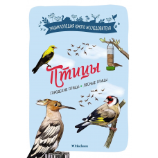 Птицы
