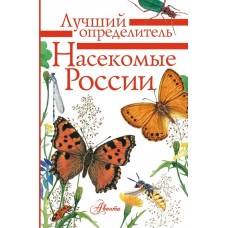 Насекомые России