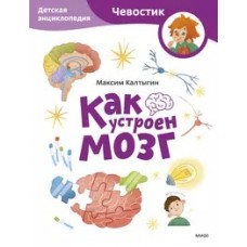 Как устроен мозг. Детская энциклопедия (Чевостик) (Paperback)