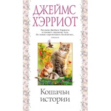 Кошачьи истории